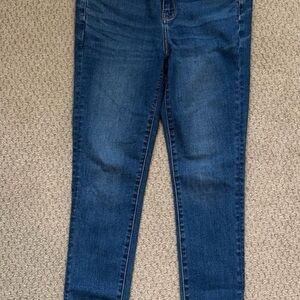 American Eagle Outfitters Dark Blue Skinny Jeans